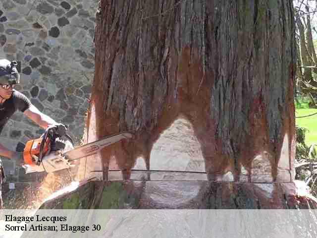 Elagage lecques-30250 Sorrel Artisan; Elagage 30