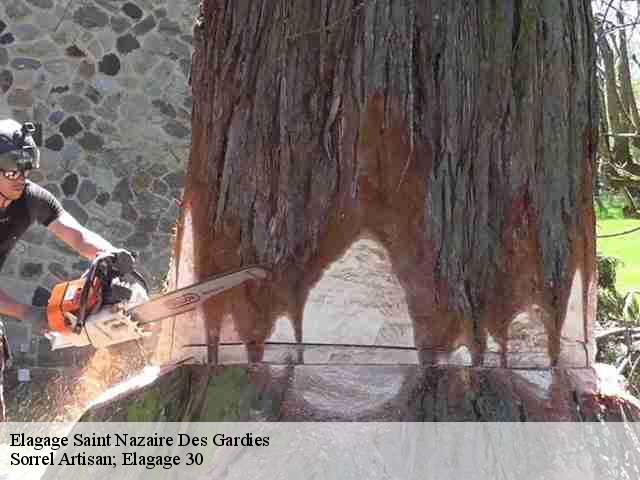 Elagage saint-nazaire-des-gardies-30610 Sorrel Artisan; Elagage 30