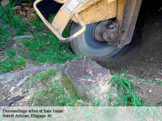 Dessouchage arbre et haie junas-30250 Sorrel Artisan; Elagage 30