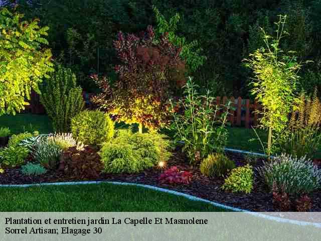 Plantation et entretien jardin  la-capelle-et-masmolene-30700 Sorrel Artisan; Elagage 30
