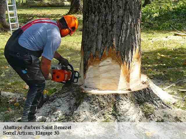 Abattage d'arbres saint-benezet-30350 Sorrel Artisan; Elagage 30
